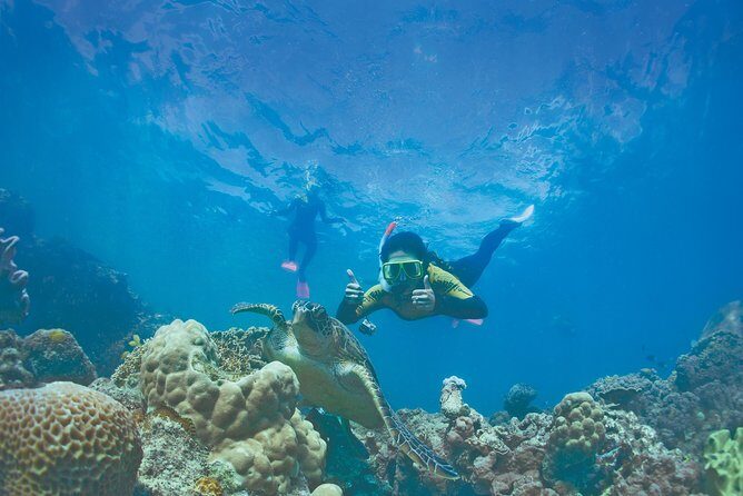 Premium Whitsunday Islands Sail, SUP & Snorkel Tour - An In-Depth Look at the Tour