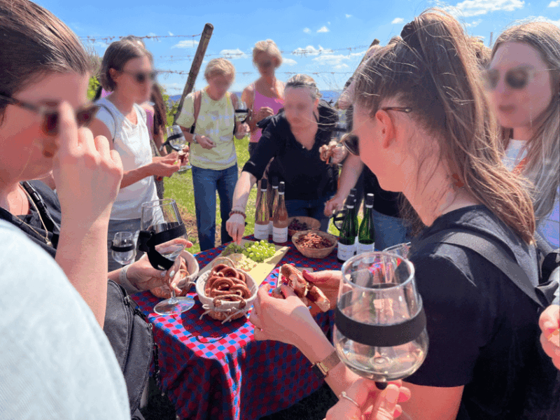 premium-wine-hike-stuttgart-with-games-and-winemakers-snack
