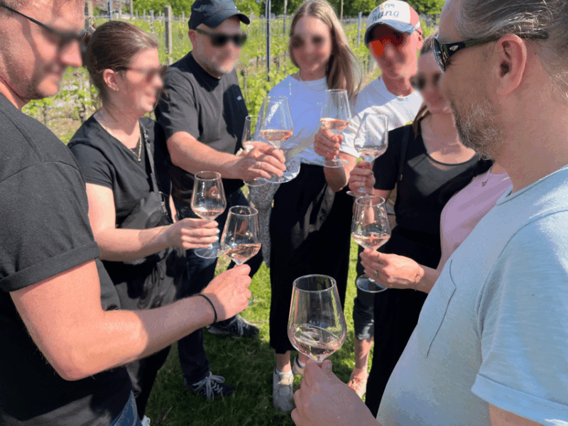 premium-wine-hike-stuttgart-with-games-and-winemakers-snack