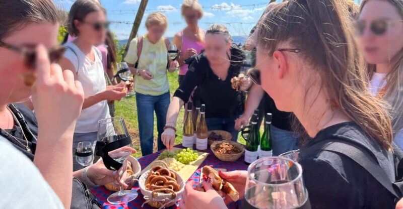 premium-wine-hike-stuttgart-with-games-and-winemakers-snack