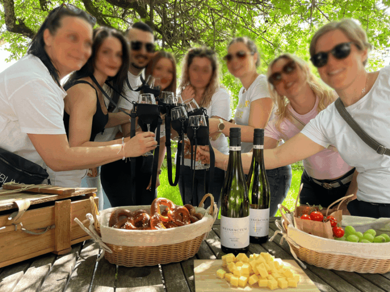 premium-wine-hike-stuttgart-with-games-and-winemakers-snack