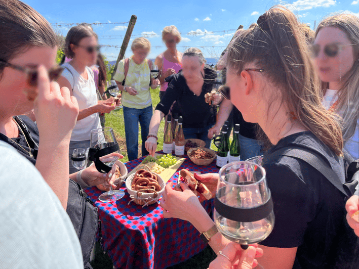 premium-wine-hike-stuttgart-with-games-and-winemakers-snack