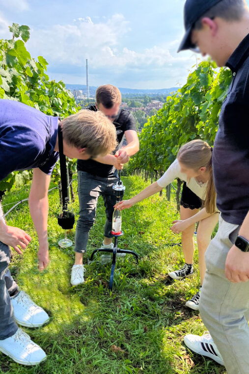premium-wine-hike-stuttgart-with-games-and-winemakers-snack