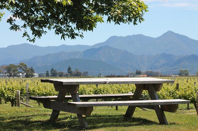 Premium Wine Tasting Tour. - Pricing and Value