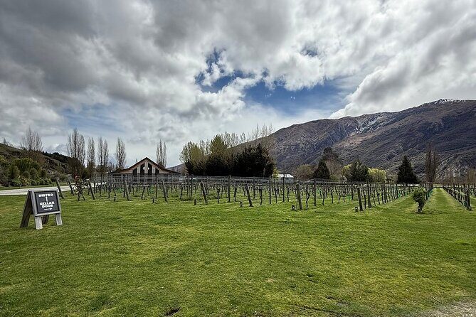 Premium Wine Tour Queenstown Tasting at 4 Wineries - Who Would Love This Tour?