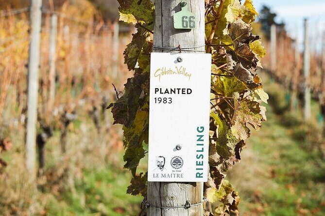 Premium Wine Tour Queenstown Tasting at 4 Wineries - Final Thoughts