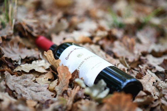 premium-wine-tour-vina-cousino-macul-official-english