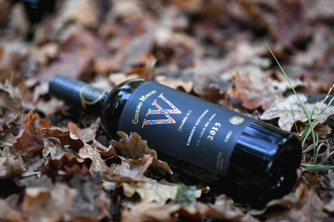 premium-wine-tour-vina-cousino-macul-official-english