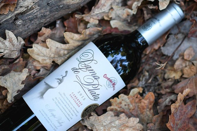 premium-wine-tour-vina-cousino-macul-official-english