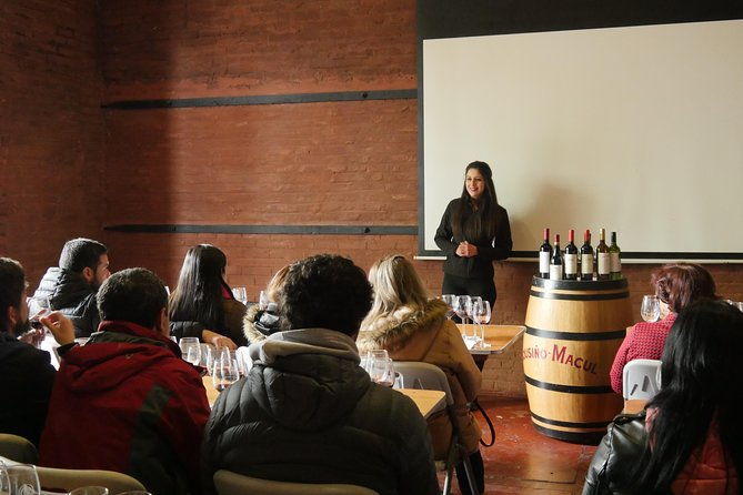 premium-wine-tour-vina-cousino-macul-official-english