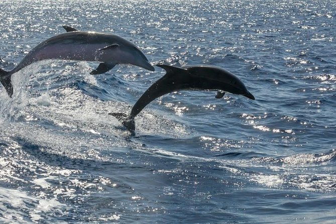 premium-yacht-private-charter