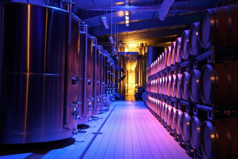 prestige-experience-tour-in-french-champagne-passy-grigny