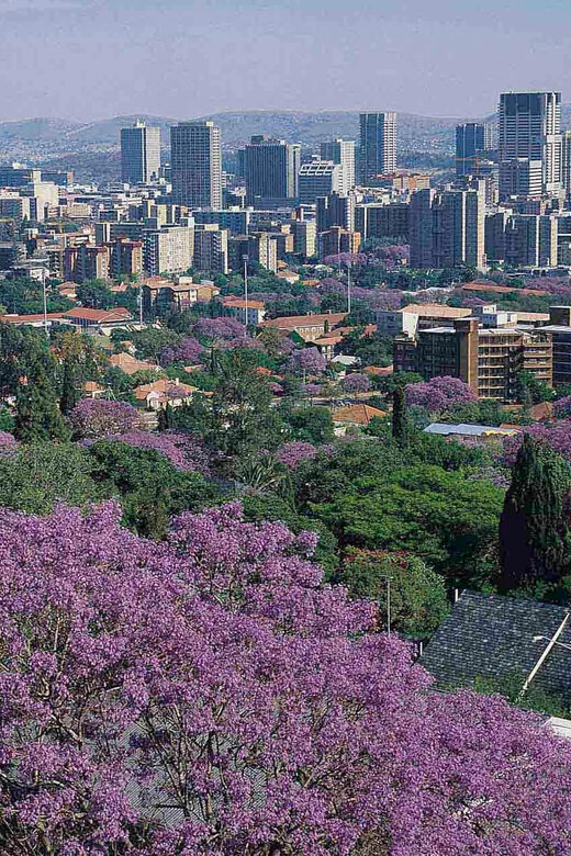 Pretoria City Tour - FAQs