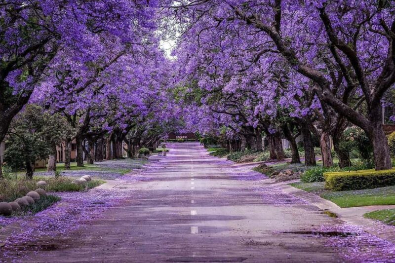 Pretoria: Half-Day City Tour with Hotel Pickup - Authentic Traveler Insights