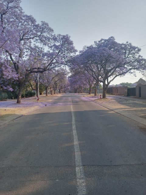 Pretoria half day tour - Final Thoughts: Is This Tour Worth It?