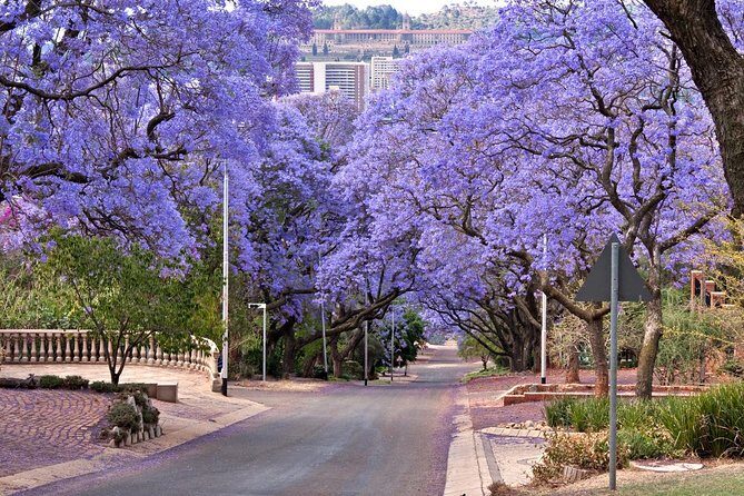 Pretoria Sightseeing Day Trip from Johannesburg - A Closer Look at the Pretoria Sightseeing Day Trip