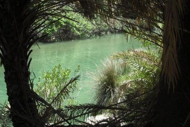 preveli-palm-beach-tour-from-rethymno-by-private-boat