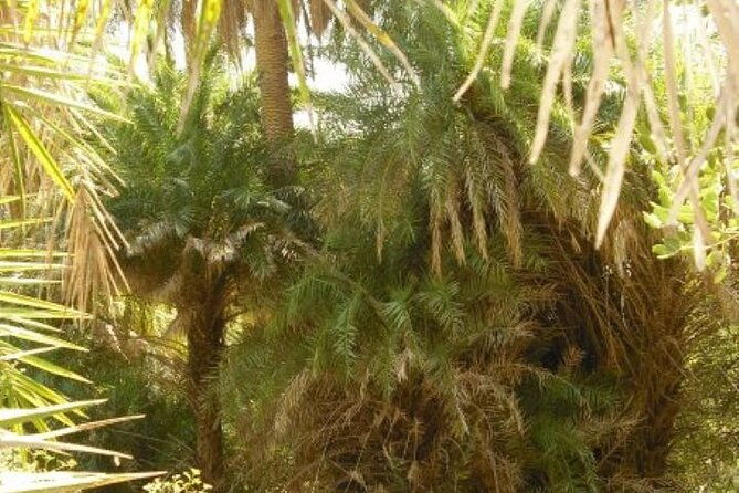 preveli-palm-beach-tour-from-rethymno-by-private-boat