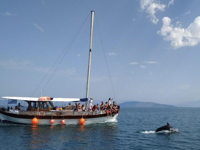 preveza-dolphin-watching-cruise-with-lunch-and-drinks