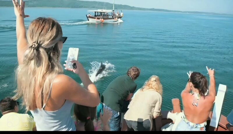 preveza-dolphin-watching-cruise-with-lunch-and-drinks