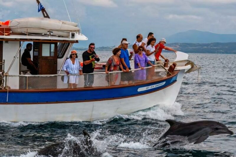 preveza-dolphin-watching-cruise-with-lunch-and-drinks