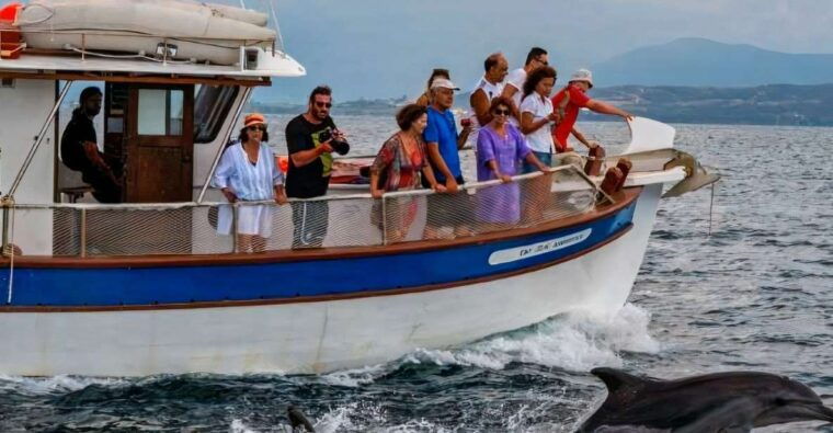 preveza-dolphin-watching-cruise-with-lunch-and-drinks
