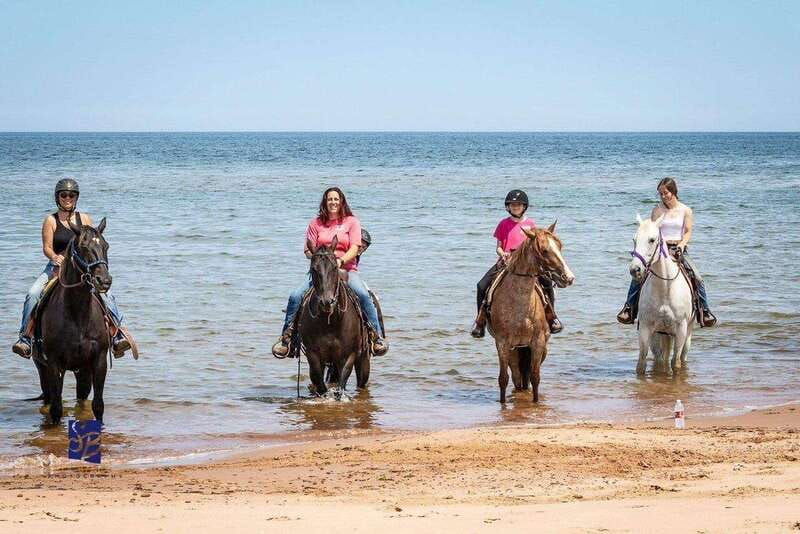 prince-edward-island-beginner-horse-ride-on-the-beach