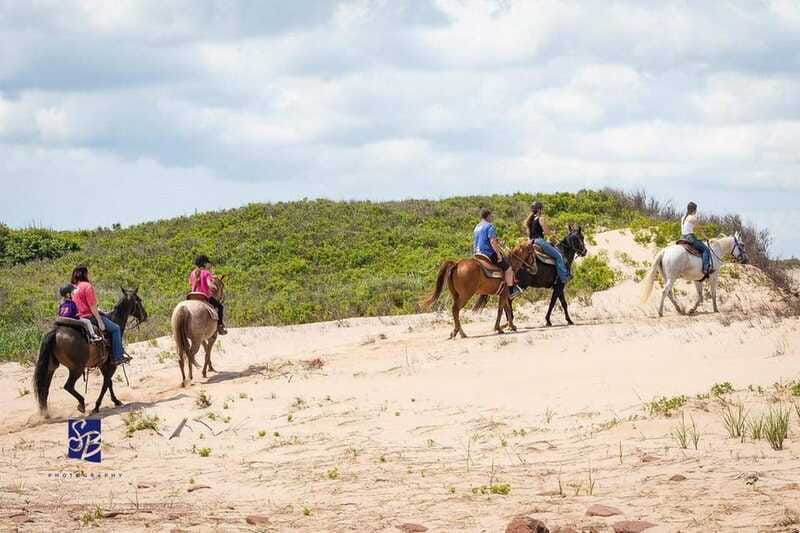 prince-edward-island-beginner-horse-ride-on-the-beach