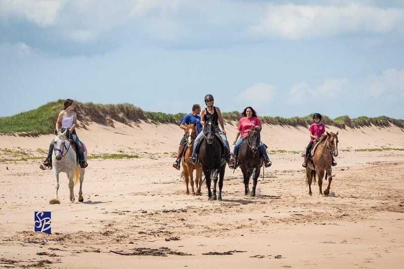 prince-edward-island-beginner-horse-ride-on-the-beach