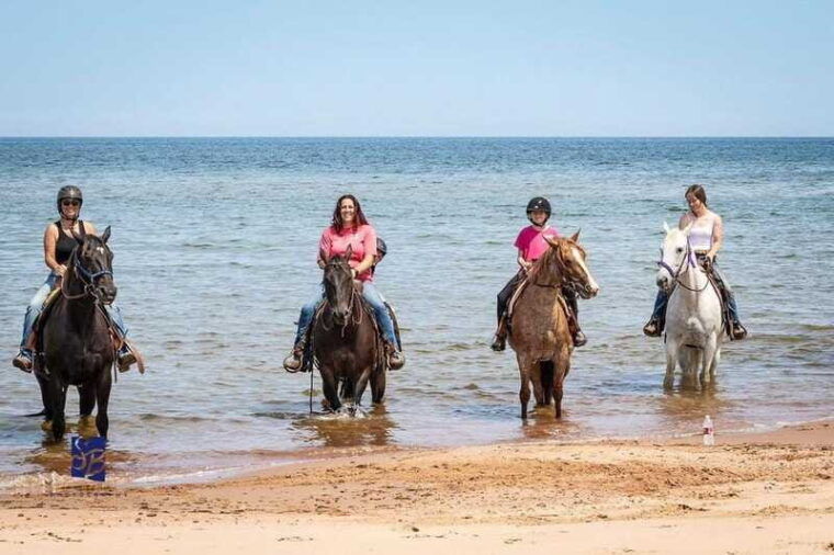prince-edward-island-beginner-horse-ride-on-the-beach