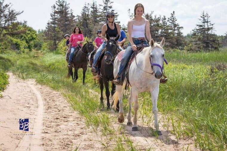 prince-edward-island-beginner-horse-ride-on-the-beach