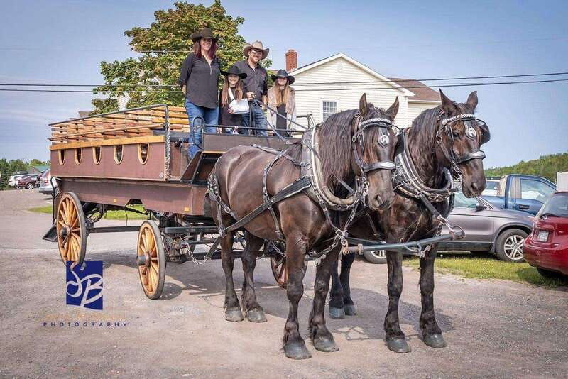 prince-edward-island-horse-drawn-carriage-tour