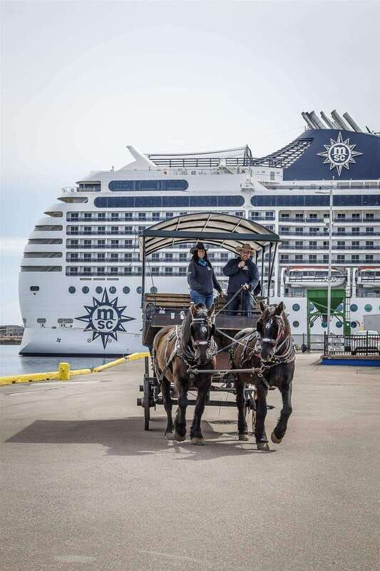 prince-edward-island-horse-drawn-carriage-tour