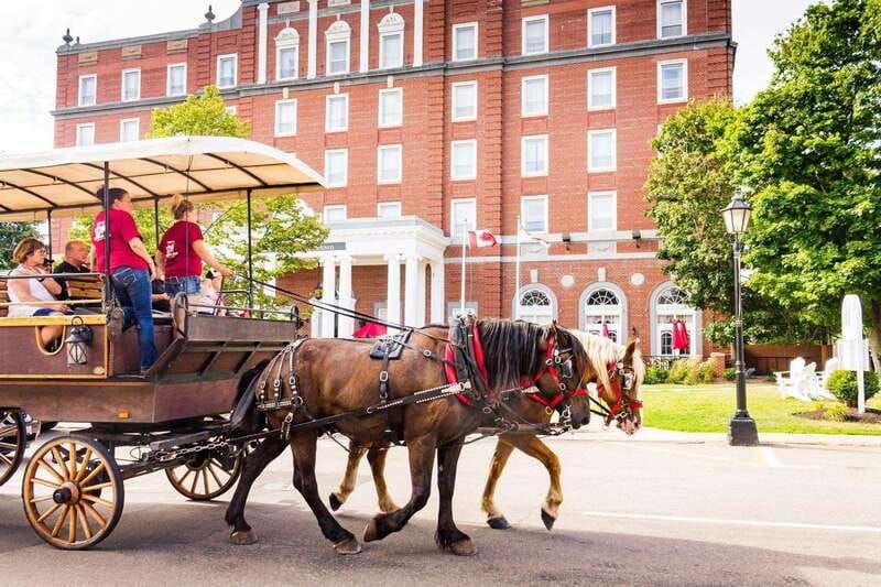 prince-edward-island-horse-drawn-carriage-tour