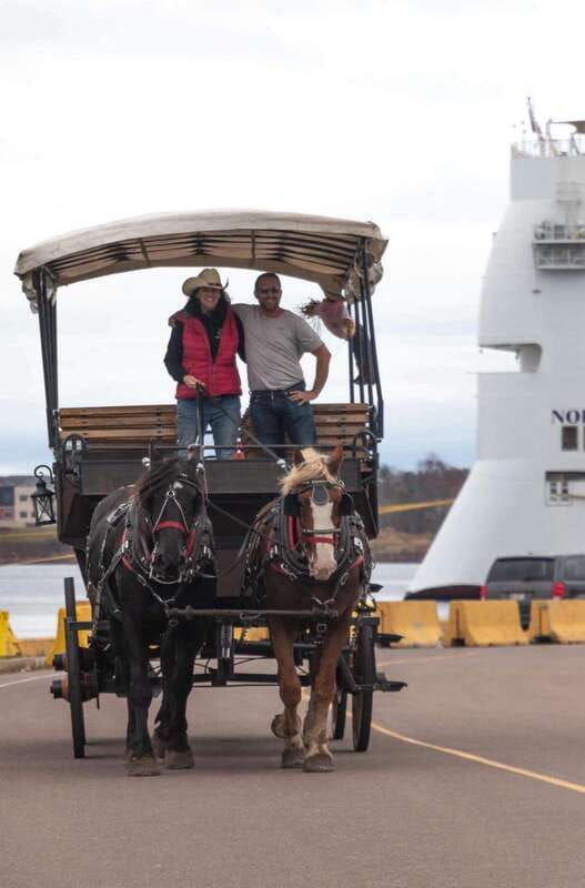 prince-edward-island-horse-drawn-carriage-tour