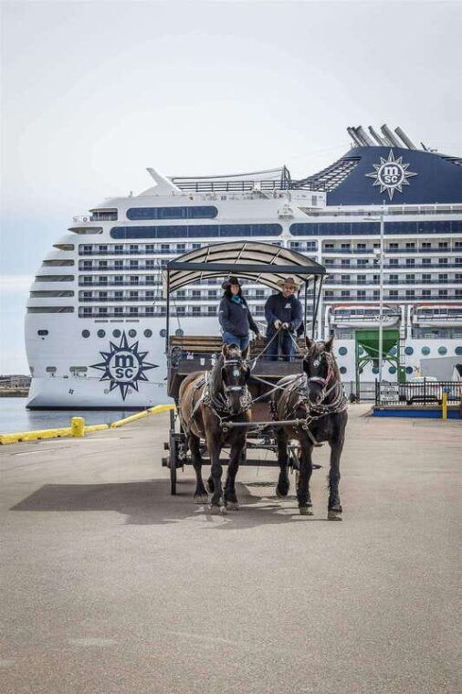 prince-edward-island-horse-drawn-carriage-tour