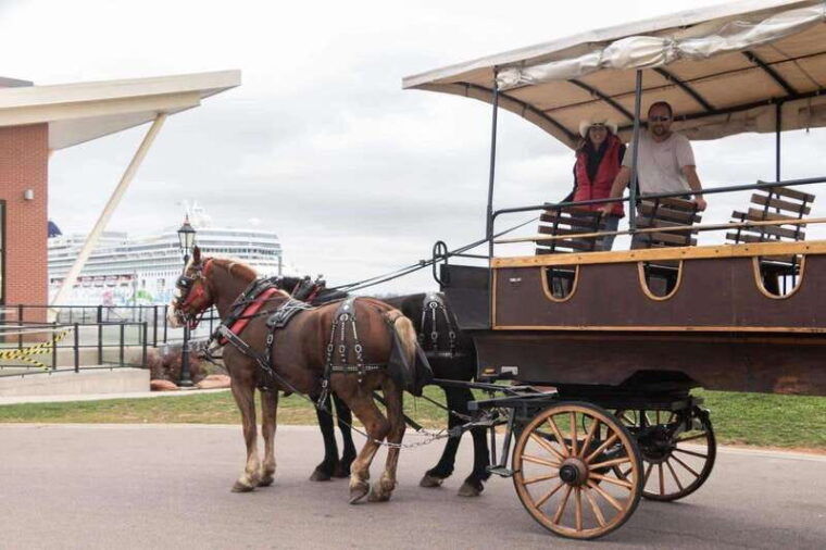 prince-edward-island-horse-drawn-carriage-tour