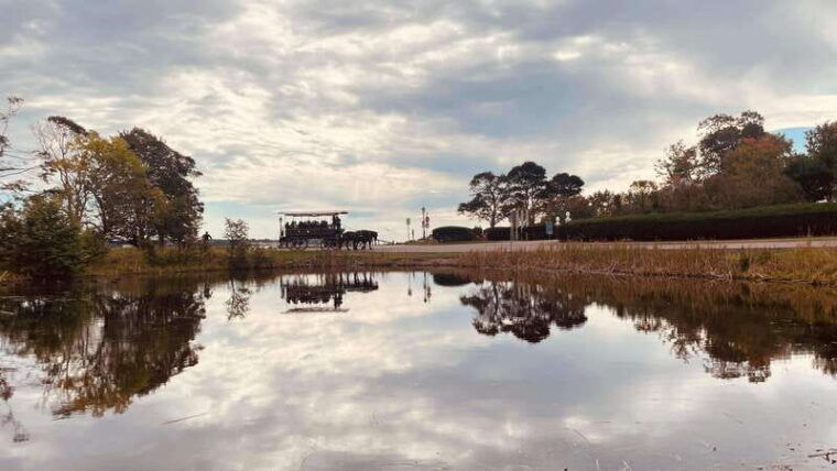 prince-edward-island-horse-drawn-carriage-tour