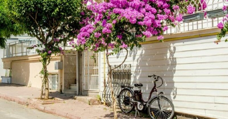 princes-island-group-tour