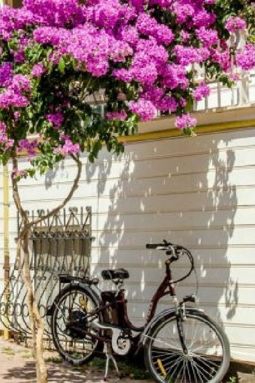 princes-island-group-tour