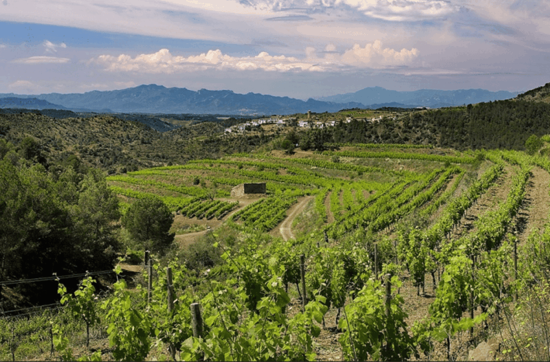 priorat-jeep-tour-foodies-lunch-from-barcelona