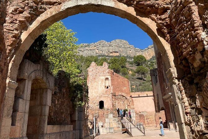 Priorat tour to 3 small wineries and hotel pick-up - Who Should Consider This Tour?