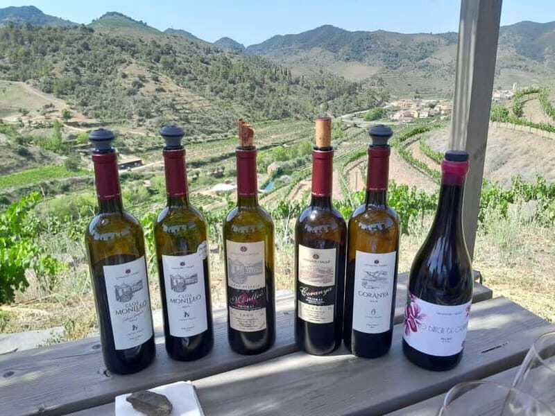 Priorat tour to 3 small wineries and hotel pick-up - A Closer Look at the Itinerary and What Makes It Special