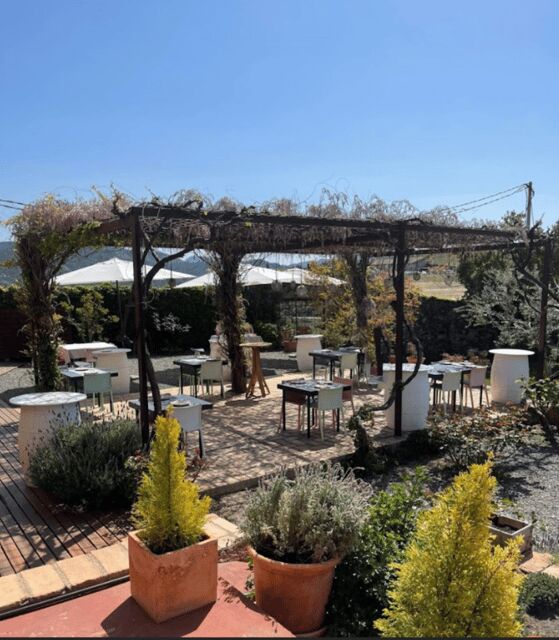 Priorat tour to 3 small wineries and hotel pick-up - Why This Tour Provides Great Value