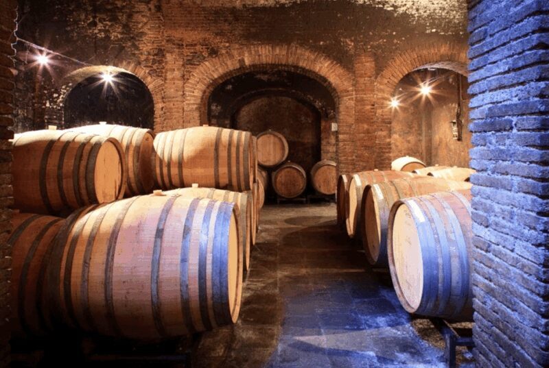 Priorat tour to 3 small wineries and hotel pick-up - Final Thoughts