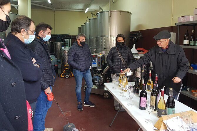Priorat Wine Tasting Tour from Salou with hotel pickup - Key Points
