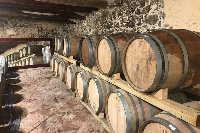 Priorat Wine Tasting Tour from Salou with hotel pickup - The Quality and Value of the Experience