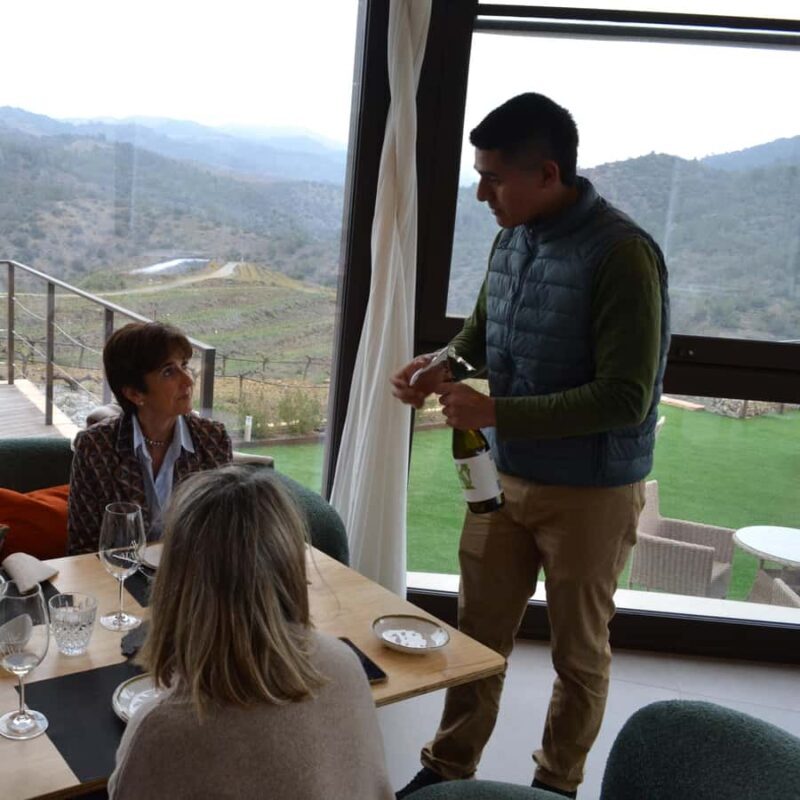 Priorat: wine tour in Gratallops of the best natural wines - Exploring the Itinerary and Experience