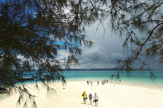 Prison Island and Stone Town Tour with Lunch - Who Would Love This Tour?