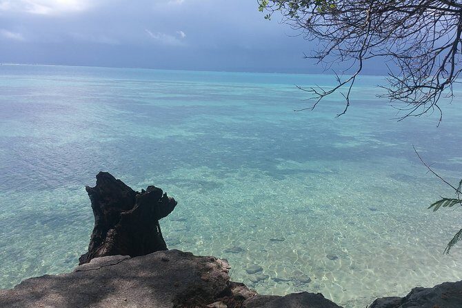 Prison Island Half-Day Tour from Zanzibar - The Sum Up: Is It Worth It?